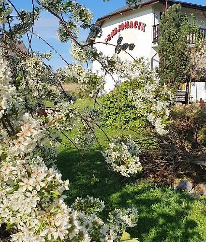 Oda ve Kahvaltı Pensjonacik Ewa Darłowo